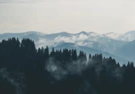 mountains-clouds-forest-fog